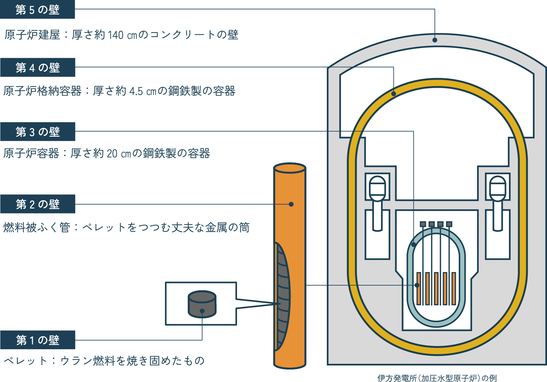 第5の壁、原子炉建屋:厚さ約140㎝のコンクリートの壁、第4の壁、原子炉格納容器:厚さ約4.5㎝の鋼鉄製の容器、第3の壁原子炉容器:厚さ約20㎝の鋼鉄製の容器、第2の壁、燃料被ふく管:ペレットをつつむ丈夫な金属の筒、第1の壁、ペレット:ウラン燃料を焼き固めたもの 伊方発電所(加圧水型原子炉)の例