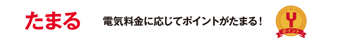 たまって 電気料金に応じてポイントがたまる！