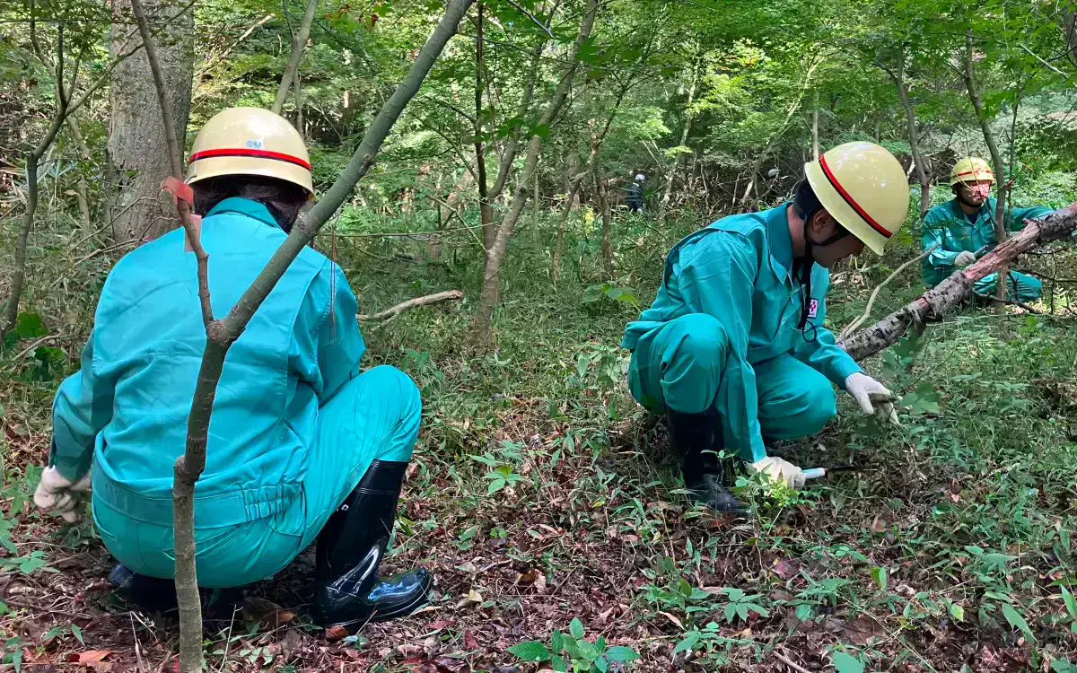 林・生物多様性保全活動の写真