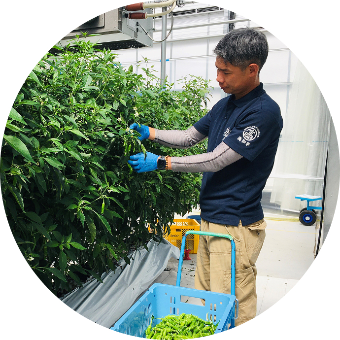 未来に希望がわいてくるしあわせのために