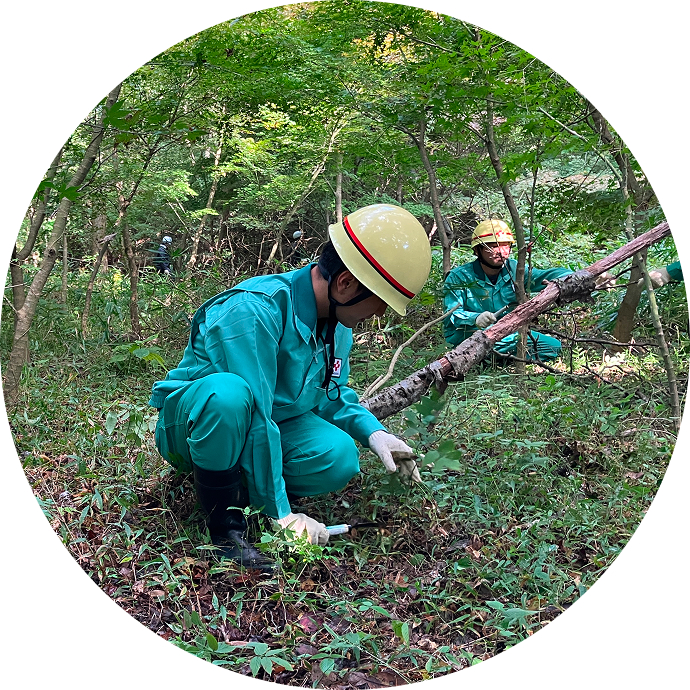 地域と連携した森林・生物多様性保全活動