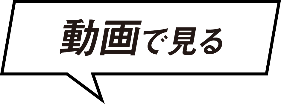 動画で見る