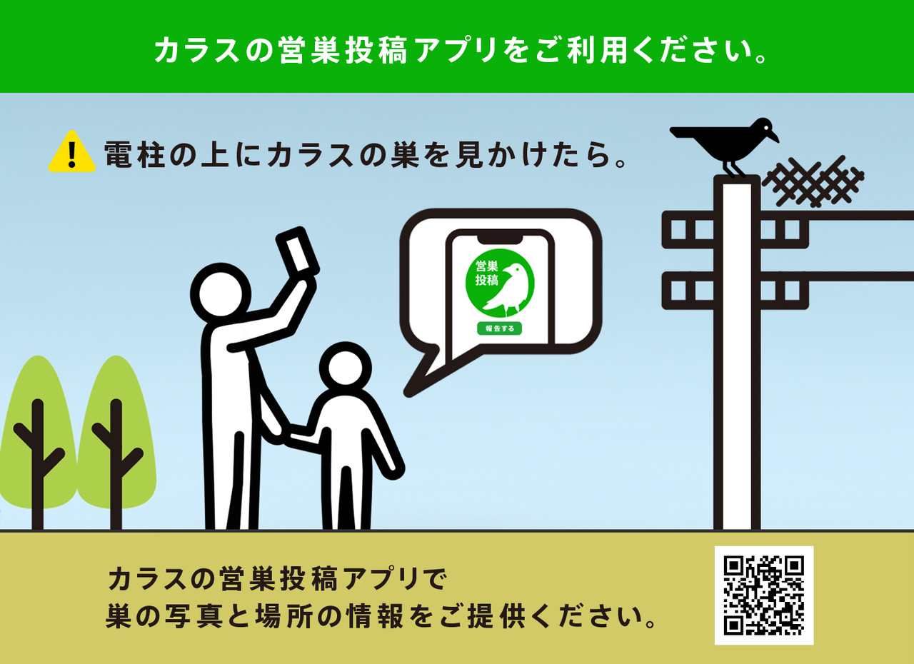 電柱に鳥の巣を見つけたら｜四国電力送配電