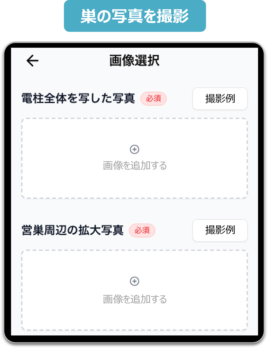 巣の写真を撮影