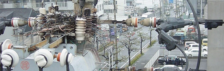 AIを活用した営巣検知システム