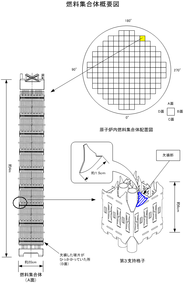 燃料集合体概要図