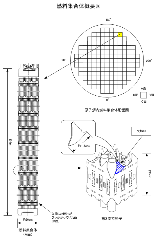 燃料集合体概要図