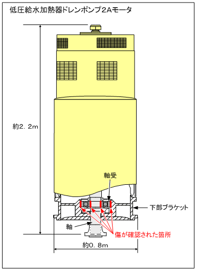 低圧給水加熱器ドレンポンプ2Aモータ