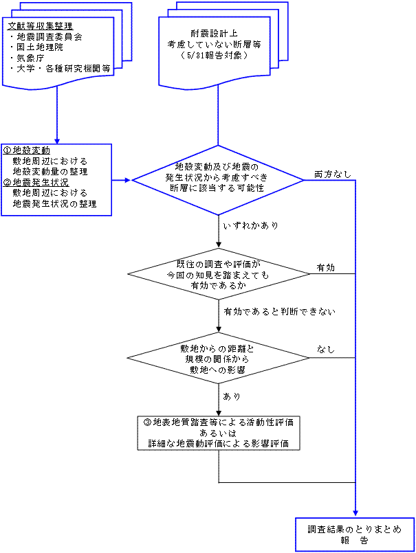 今回の追加指示に対する検討フロー