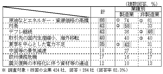 今年の懸念事項の表